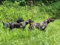 processed/bbd87dff-66b2-4f47-8219-bec57b2c3d64/facility/8e575249-876d-47f3-8853-a3d328849d9f