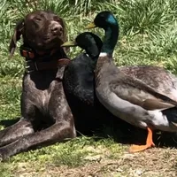 processed/bbd87dff-66b2-4f47-8219-bec57b2c3d64/facility/b25b42cb-16ba-4936-9e53-6f072620df4b