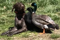 processed/bbd87dff-66b2-4f47-8219-bec57b2c3d64/facility/b25b42cb-16ba-4936-9e53-6f072620df4b