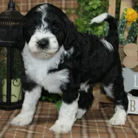 processed/bbe0793c-bc47-4a9c-bb63-3e935f59b291/listing/05f7cfcb-294e-464a-8c4e-565b9f16d8fd/0f69e35d-fc3e-4394-a036-a263e0fe5755