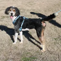 processed/bbe0793c-bc47-4a9c-bb63-3e935f59b291/listing/5f17b00f-7e46-4b63-ba45-005766675409/93cafbc5-d166-4cea-9d8a-1a8e785b37c1