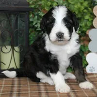 processed/bbe0793c-bc47-4a9c-bb63-3e935f59b291/listing/60f6bce7-f58c-4a79-88a6-3837c92b5a55/9251cf61-38b9-4e3f-bd80-ff68f10a596e