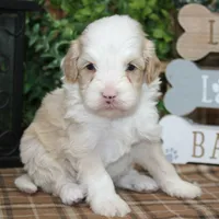 processed/bbe0793c-bc47-4a9c-bb63-3e935f59b291/listing/8edbc5bc-142f-4a8e-9e22-36c1173e7240/246a2775-47f2-4e31-b386-8e1921809d19