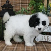 processed/bbe0793c-bc47-4a9c-bb63-3e935f59b291/listing/91eaaef8-c1bc-4616-8c3e-624f6467c767/0c4ec6ed-3213-45a2-b948-0af34d6234a6