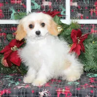 processed/bbe0793c-bc47-4a9c-bb63-3e935f59b291/listing/a38b262e-802c-4f84-9ca9-970d7a2a97ed/01a38c4a-1234-4f27-8b1d-db2ffc5ee541