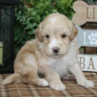 processed/bbe0793c-bc47-4a9c-bb63-3e935f59b291/listing/cf88895b-ce37-4afb-8853-09e56f6e3541/8ef5ec10-bf41-4577-8620-7af01a8ae50f