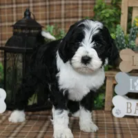 processed/bbe0793c-bc47-4a9c-bb63-3e935f59b291/listing/ff2f0ee7-39d0-4b40-b7b8-49fb8f792a7f/308a3e75-9306-49b0-85d8-a5c11c219919