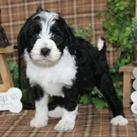 processed/bbe0793c-bc47-4a9c-bb63-3e935f59b291/listing/ff2f0ee7-39d0-4b40-b7b8-49fb8f792a7f/68b1dbb1-76a0-49ab-935a-01cb1a0c967f