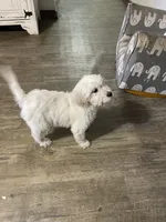 processed/bbe3e954-dad5-4c39-bd77-7893365f4a13/listing/014c6b36-c7da-4a45-88ec-4847a16904f9/de46ab8b-7036-4442-921b-eef9197c534f