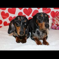 processed/bbeafd08-7737-4c18-b8ed-9b0551a21229/facility/32c3efdf-f75e-4741-8d6e-ee00d5ef04c2