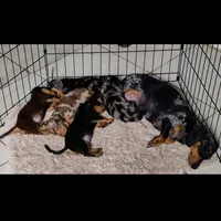 processed/bbeafd08-7737-4c18-b8ed-9b0551a21229/facility/452bc4b5-0edf-482d-b50e-bbe54cc24bf2