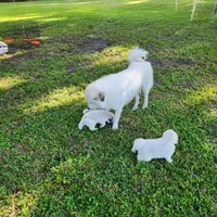Facility photo