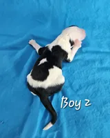 processed/bbefaa76-7e9a-470a-a613-47832ee7649e/listing/15c9cd07-7dee-4285-a451-64af9f1f25fd/a8e34487-73d6-450e-adcf-768c82a7d2cd