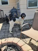 processed/bbefaa76-7e9a-470a-a613-47832ee7649e/listing/15c9cd07-7dee-4285-a451-64af9f1f25fd/f7d5af7a-16b6-4247-9dae-ec6714f16346