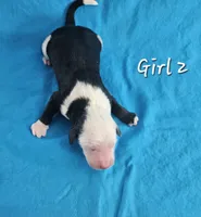 processed/bbefaa76-7e9a-470a-a613-47832ee7649e/listing/5fb16edd-ce39-410a-b725-6bce766de395/f3e572c0-0dfd-4438-869d-0b5fa3f07ba4