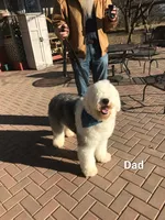 processed/bbefaa76-7e9a-470a-a613-47832ee7649e/listing/a81e1eaf-8df1-493f-8ab5-18da8afa3d85/a3cc7b15-435f-4fff-97e6-08a00165f9d9