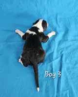 processed/bbefaa76-7e9a-470a-a613-47832ee7649e/listing/ba01a150-8b3f-43f9-9c57-1f30a3e04f15/f9eb45ce-d0cc-4b12-abbd-e689b815a42b