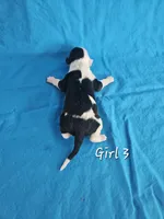 processed/bbefaa76-7e9a-470a-a613-47832ee7649e/listing/e4f3b266-a9e3-462e-aaa7-322a831ffe22/08502820-a6ef-4328-8288-ae01560df0c9