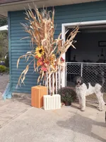 processed/bbefaa76-7e9a-470a-a613-47832ee7649e/listing/e4f3b266-a9e3-462e-aaa7-322a831ffe22/5131c495-b73c-485a-84ed-09485efb7c19