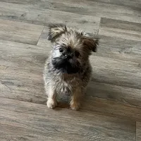 processed/bbf4a661-6b15-4148-8479-f3d7f723bc24/facility/1fc923ec-6026-4e93-8450-5038f8e1bb6d