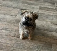 processed/bbf4a661-6b15-4148-8479-f3d7f723bc24/facility/1fc923ec-6026-4e93-8450-5038f8e1bb6d