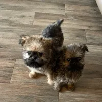 processed/bbf4a661-6b15-4148-8479-f3d7f723bc24/facility/7722b426-a220-4053-92b3-d35fabe8f829