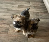 processed/bbf4a661-6b15-4148-8479-f3d7f723bc24/facility/7722b426-a220-4053-92b3-d35fabe8f829