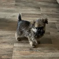 processed/bbf4a661-6b15-4148-8479-f3d7f723bc24/facility/cf9acf80-b5cb-400c-8919-5241abc80847