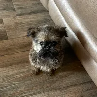 processed/bbf4a661-6b15-4148-8479-f3d7f723bc24/facility/e36421c6-d5fb-4382-8d62-7e933a98ae71