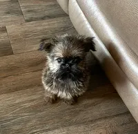 processed/bbf4a661-6b15-4148-8479-f3d7f723bc24/facility/e36421c6-d5fb-4382-8d62-7e933a98ae71