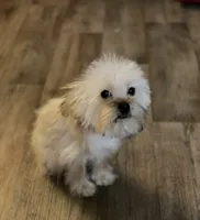 processed/bbf4a661-6b15-4148-8479-f3d7f723bc24/listing/0a6b7e67-d671-4308-89d4-29d862eb6d9c/29f19b8a-e277-4d0d-821d-2e8b2bf65555