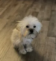 processed/bbf4a661-6b15-4148-8479-f3d7f723bc24/listing/0a6b7e67-d671-4308-89d4-29d862eb6d9c/62c4a364-0753-4983-aa87-46ee05e22aa7