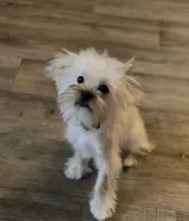 processed/bbf4a661-6b15-4148-8479-f3d7f723bc24/listing/0a6b7e67-d671-4308-89d4-29d862eb6d9c/6b61ed78-fc21-46cc-a755-0876fd0ca5ab