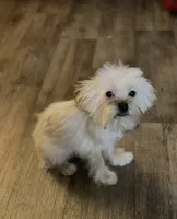 processed/bbf4a661-6b15-4148-8479-f3d7f723bc24/listing/0a6b7e67-d671-4308-89d4-29d862eb6d9c/896720da-ae52-4631-b927-3b3b71a4f193