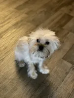 processed/bbf4a661-6b15-4148-8479-f3d7f723bc24/listing/0a6b7e67-d671-4308-89d4-29d862eb6d9c/9dbe1c80-d744-4119-85cc-0b45155bc0e6