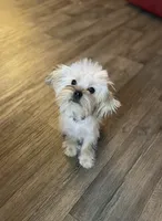 processed/bbf4a661-6b15-4148-8479-f3d7f723bc24/listing/0a6b7e67-d671-4308-89d4-29d862eb6d9c/a7af2c6c-7f66-4288-8b37-1586b20d38e4