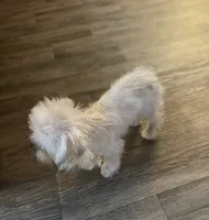 processed/bbf4a661-6b15-4148-8479-f3d7f723bc24/listing/0a6b7e67-d671-4308-89d4-29d862eb6d9c/d41ea1a9-b1ae-42a4-bda2-43105e035a32