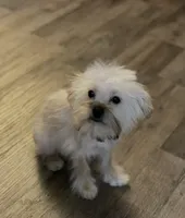 processed/bbf4a661-6b15-4148-8479-f3d7f723bc24/listing/0a6b7e67-d671-4308-89d4-29d862eb6d9c/d907e325-e23f-46d0-8131-581eb35f0814