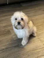 processed/bbf4a661-6b15-4148-8479-f3d7f723bc24/listing/6aa06bbc-7376-45c8-9c78-b63b975b617b/205b9496-0832-496b-a8c5-6de9051349f3