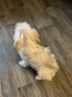 processed/bbf4a661-6b15-4148-8479-f3d7f723bc24/listing/6aa06bbc-7376-45c8-9c78-b63b975b617b/298e5723-93d7-4020-9a18-27b83efb466a