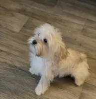 processed/bbf4a661-6b15-4148-8479-f3d7f723bc24/listing/6aa06bbc-7376-45c8-9c78-b63b975b617b/2ac66e0d-0eca-459a-9967-862f58a3636a