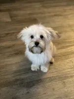 processed/bbf4a661-6b15-4148-8479-f3d7f723bc24/listing/6aa06bbc-7376-45c8-9c78-b63b975b617b/c7e688cb-9cbf-4eb7-a39f-827f31fbb56a