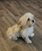 processed/bbf4a661-6b15-4148-8479-f3d7f723bc24/listing/6aa06bbc-7376-45c8-9c78-b63b975b617b/e280d420-ff9b-47ed-9e55-6d08407b16f6