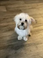 processed/bbf4a661-6b15-4148-8479-f3d7f723bc24/listing/6aa06bbc-7376-45c8-9c78-b63b975b617b/e63ddf20-f4f3-4a01-a124-970fd1a59b22