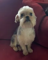 processed/bbf4a661-6b15-4148-8479-f3d7f723bc24/listing/b3b08d27-8ec8-4145-bfb0-d085b2150873/261b09b4-5b73-449e-b77b-58e8a6d18609