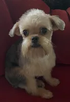 processed/bbf4a661-6b15-4148-8479-f3d7f723bc24/listing/b3b08d27-8ec8-4145-bfb0-d085b2150873/3062bd9b-433d-4485-804e-8a55ad2de8de