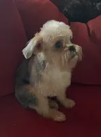 processed/bbf4a661-6b15-4148-8479-f3d7f723bc24/listing/b3b08d27-8ec8-4145-bfb0-d085b2150873/53ca7fc0-97b2-4aea-8245-8b85fdaf3833