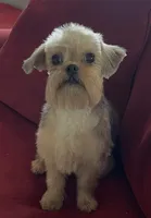 processed/bbf4a661-6b15-4148-8479-f3d7f723bc24/listing/b3b08d27-8ec8-4145-bfb0-d085b2150873/e2f76811-d01c-432c-8072-eb98f9dc9ddc