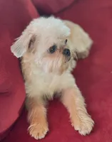 processed/bbf4a661-6b15-4148-8479-f3d7f723bc24/listing/f09da6c2-1af9-4c7a-a38d-b791391935ee/477872e9-59f6-4881-90c3-70926e80839c