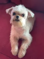 processed/bbf4a661-6b15-4148-8479-f3d7f723bc24/listing/f09da6c2-1af9-4c7a-a38d-b791391935ee/7ccdaf7c-9c32-4b2e-9893-6371d30d5db1